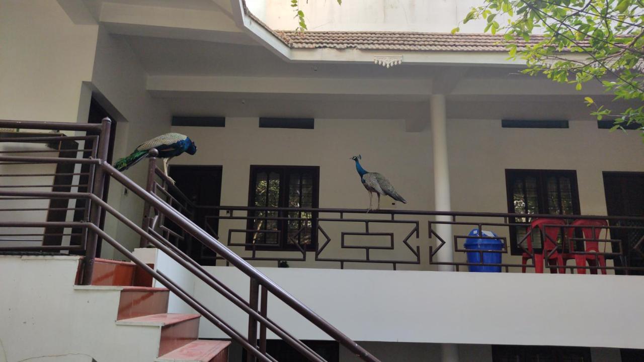 Pebblecoast Beach Resort Kovalam Zewnętrze zdjęcie